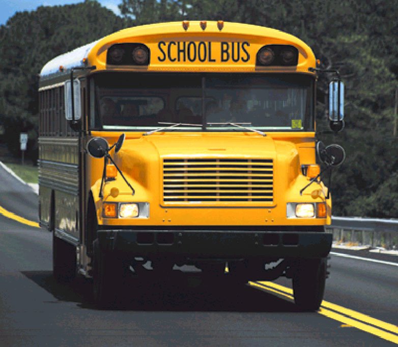 school-bus.jpg