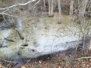 Frozen ephemeral pool